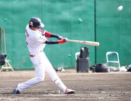 【画像・写真】ヤクルト山田　ゴリラ弾！ポーズもきめた　詰まってもパワ振る１号