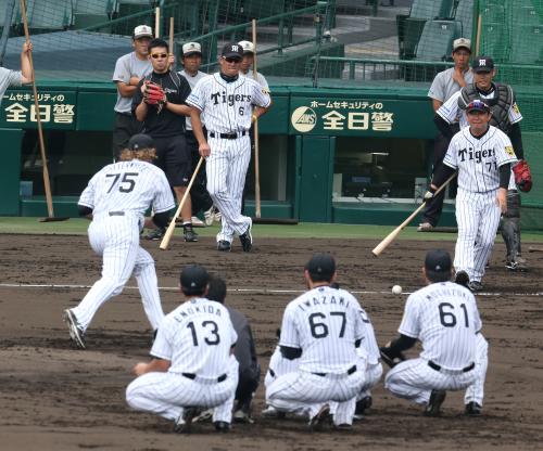 【画像・写真】金本監督　“懲罰続投”藤浪に全勝指令「前半とは真逆の成績を」