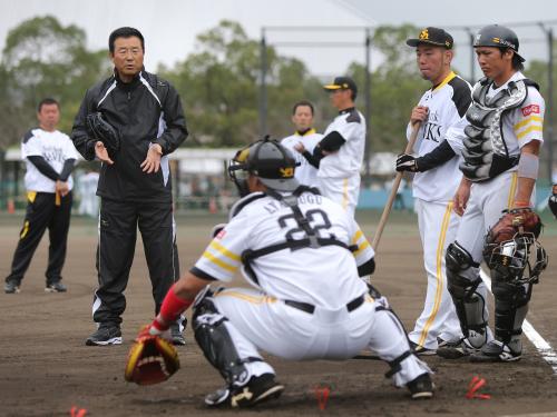 ソフトＢ拓也→甲斐　達川ヘッドの勧め「ＳＭＡＰも解散…」