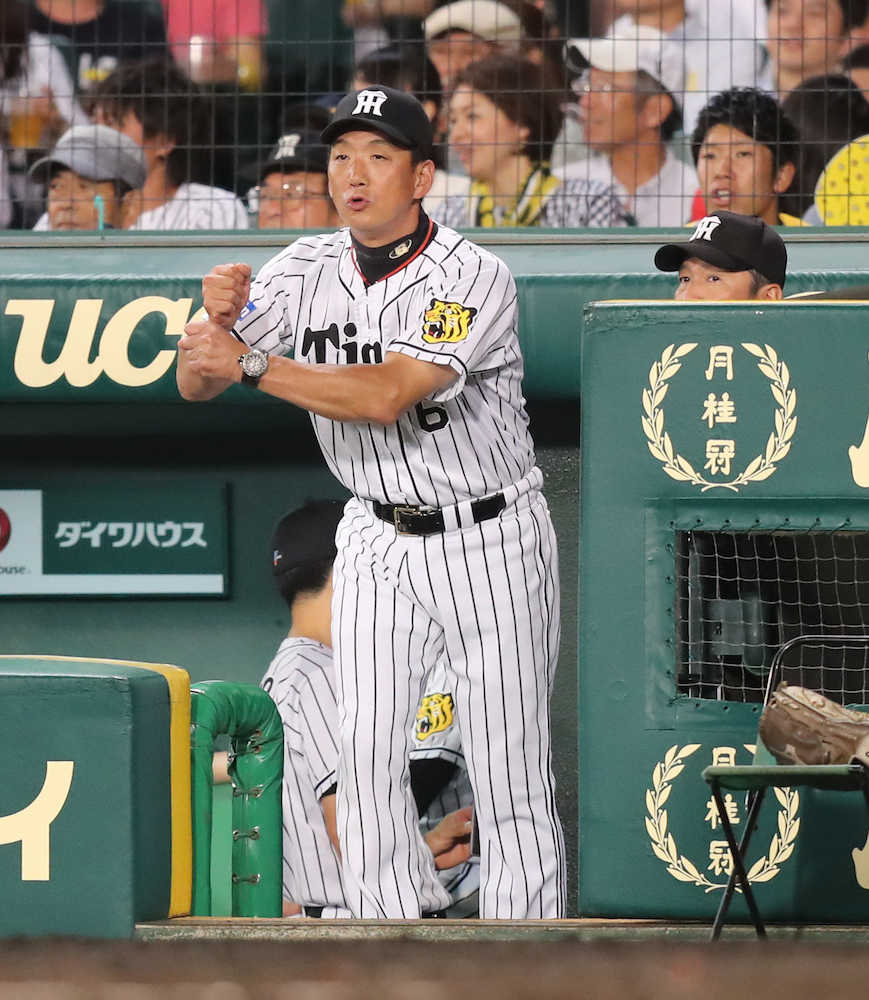 鳥谷今季初１番も…阪神５年ぶり８連敗　金本監督「今はそういう時期」