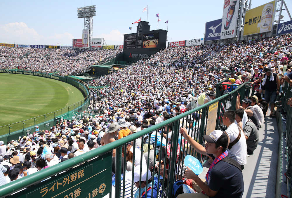 夏の甲子園　４試合全て観衆４万７０００人「極めて珍しい」