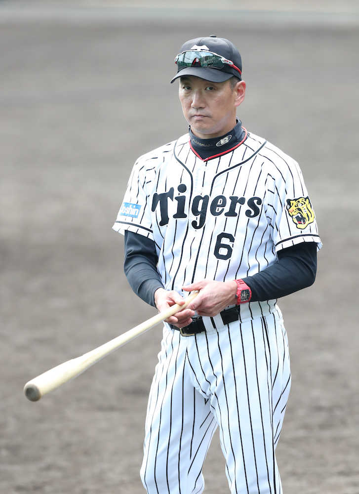 金本監督　直球に勝て「ウチのチームは真っすぐに弱い」