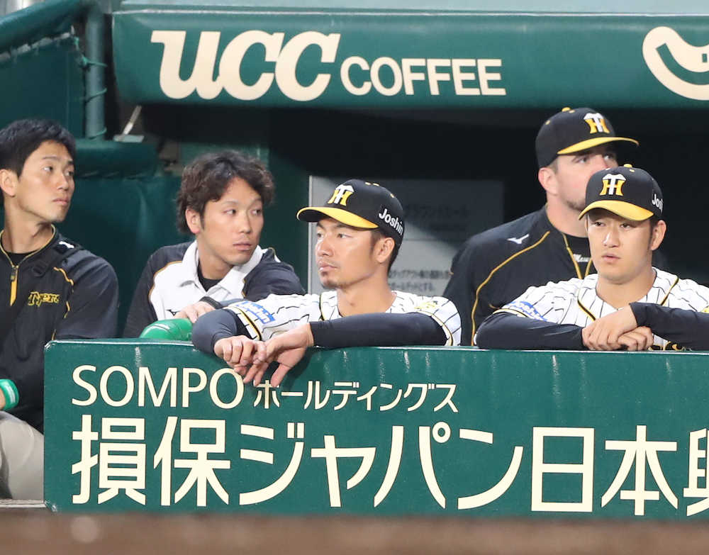 阪神・金本監督　鳥谷の連続試合出場ストップ「仕方がない。状況があるから…」