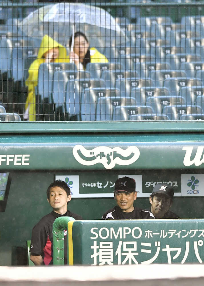 雨の中、ベンチで試合開始を待つロッテ・井口監督（右から２人目）。試合は中止となった