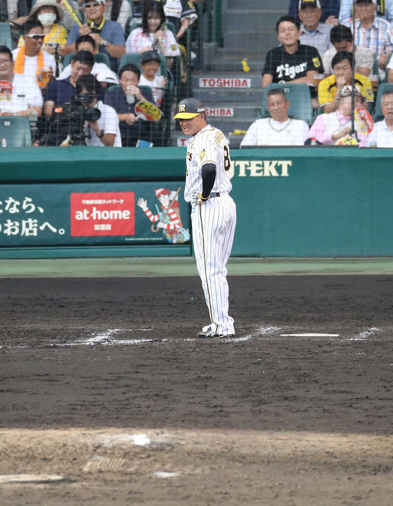 金本阪神困った…甲子園で打てない勝てないＧ戦５連敗「ここに来るとな」