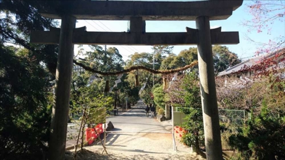 水度神社二の鳥居と松並木の参道。この右手に寺田球場はあり、タイガースの選手たちは坂道を上って通った