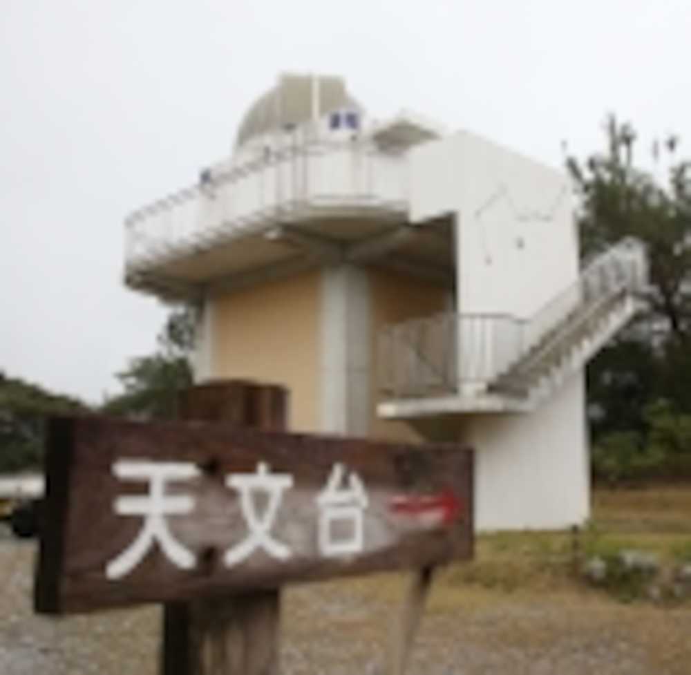 例年の約４倍　国頭村に“日本ハム輝星ドーム”！？