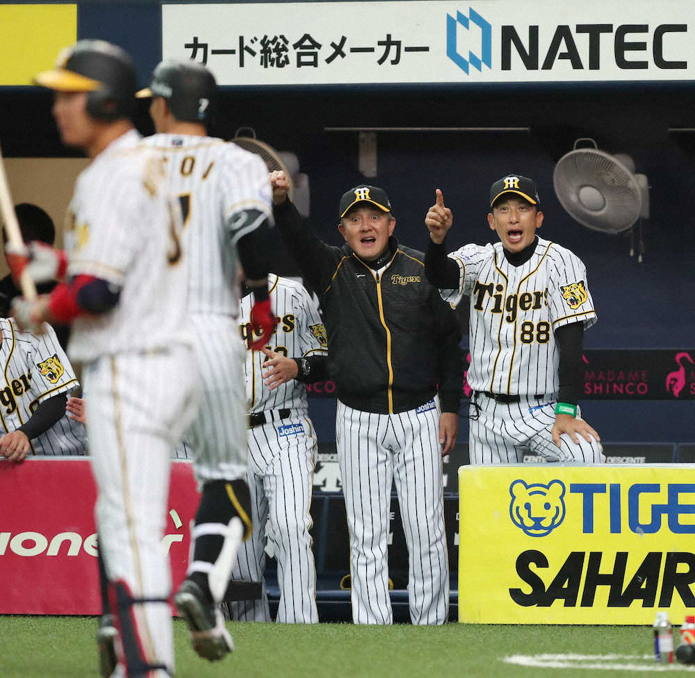 阪神、セ界唯一の連勝発進！矢野イズム浸透　353日ぶり単独首位