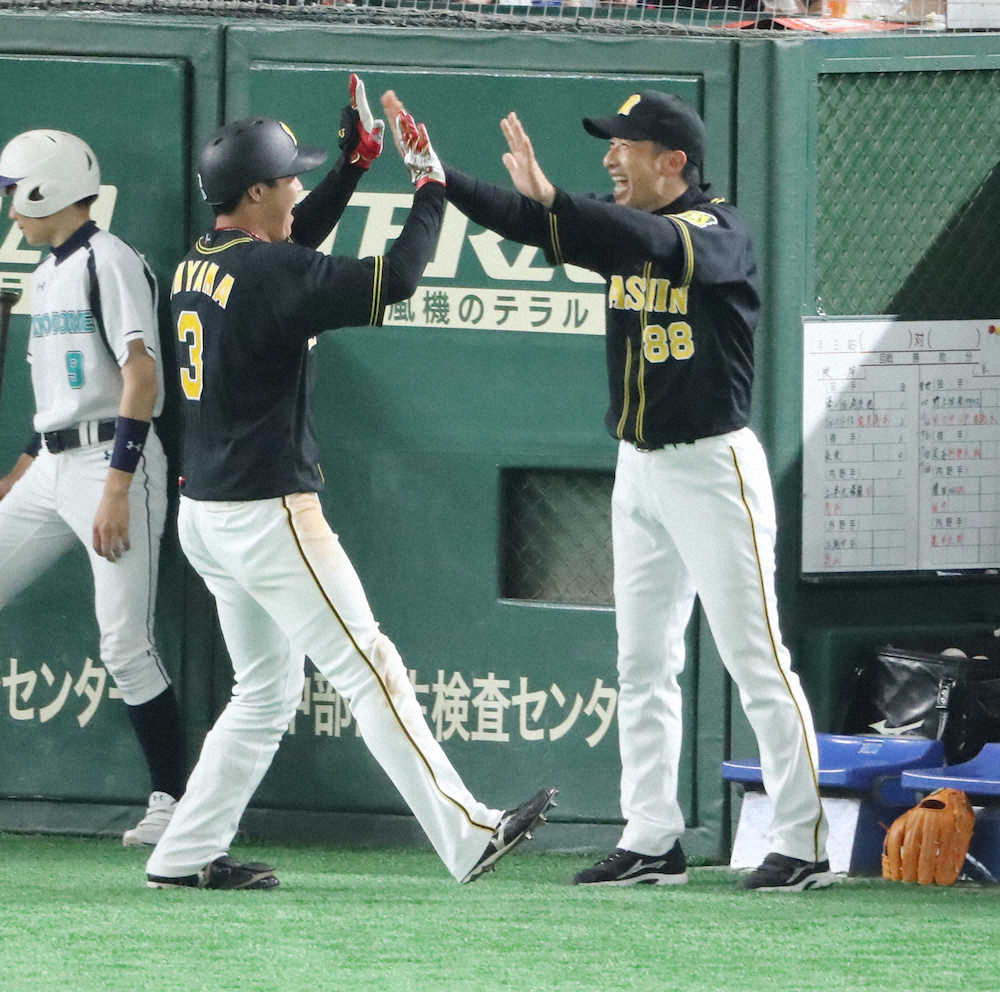 阪神　菅野に4発浴びせ痛快KO　矢野監督「うれしいんですけど、疲れました」