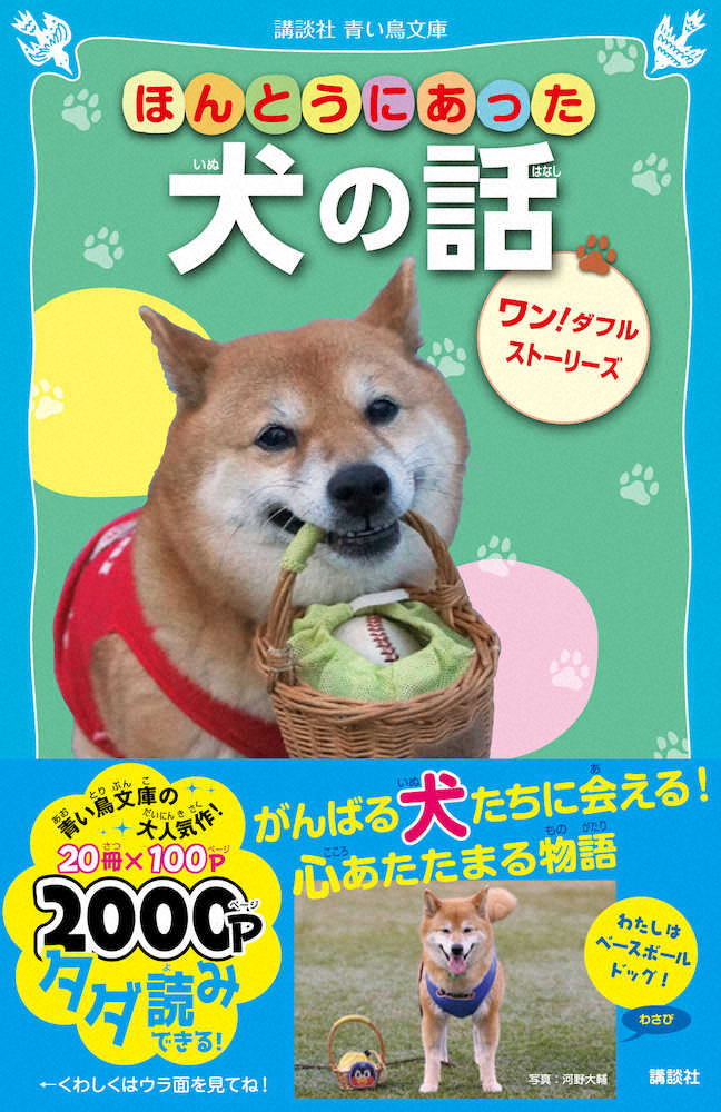 昨年引退したベースボール犬「わさび」　11年間の活動で“大切にしてきたこと”