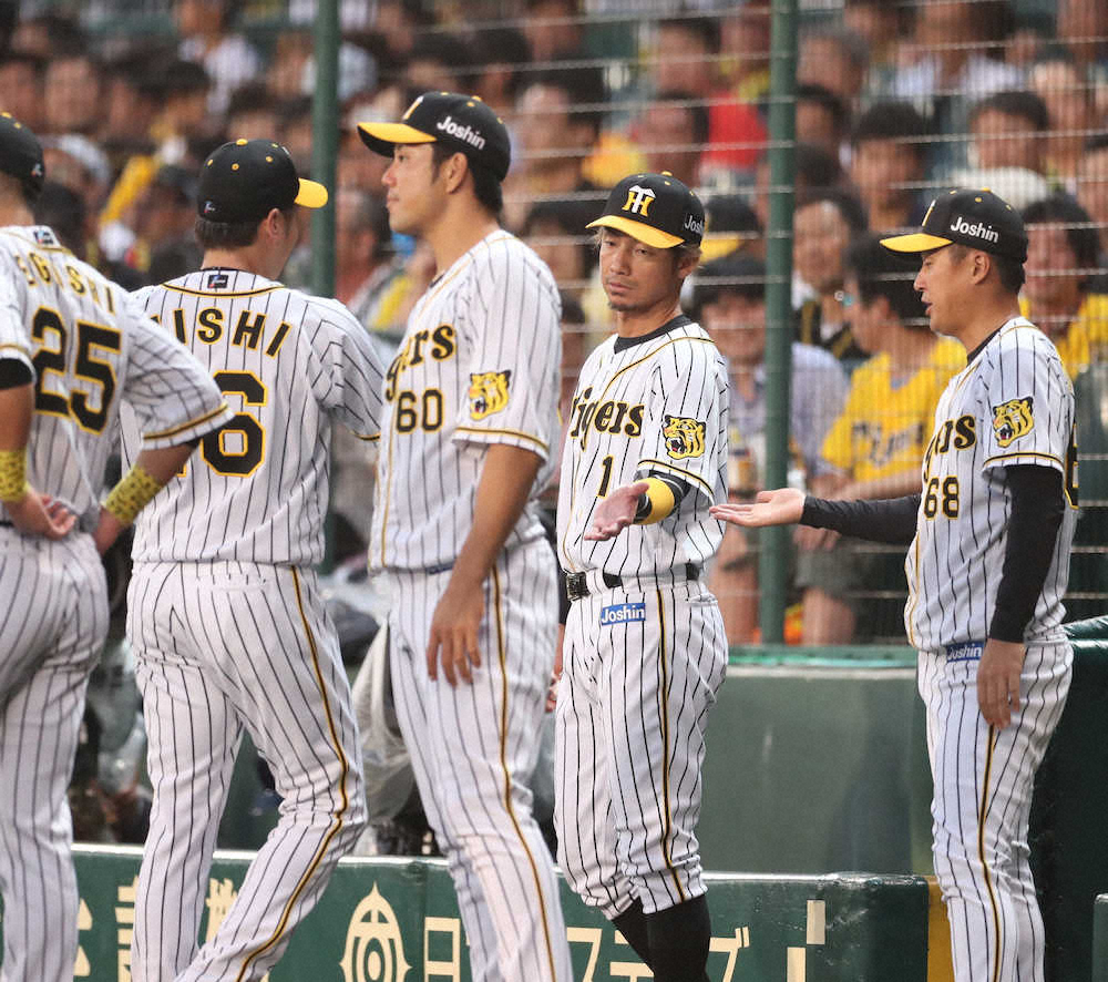 【画像・写真】中日、鳥谷獲りを否定「今の段階では全く考えていない」　一部報道受け加藤代表が言及