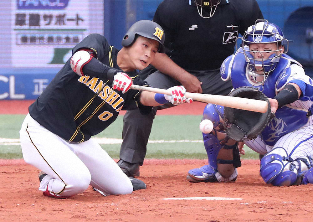 【内田雅也の追球】「幸せ」を感じる力――CSへ向かう阪神の「青春」