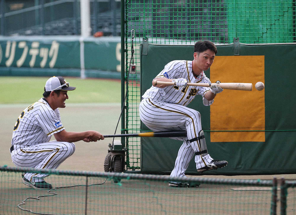 阪神　近本で下克上　矢野監督　CSキーマンに指名