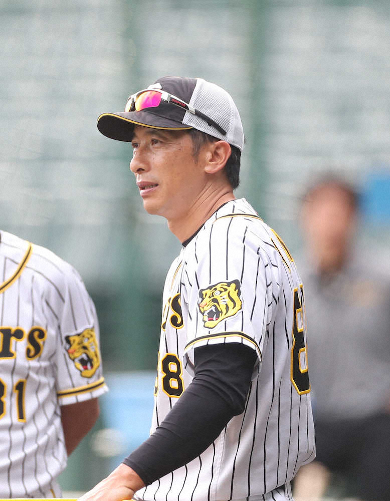 阪神　大船渡・佐々木と面談へ　矢野監督初めて言及「末恐ろしい」