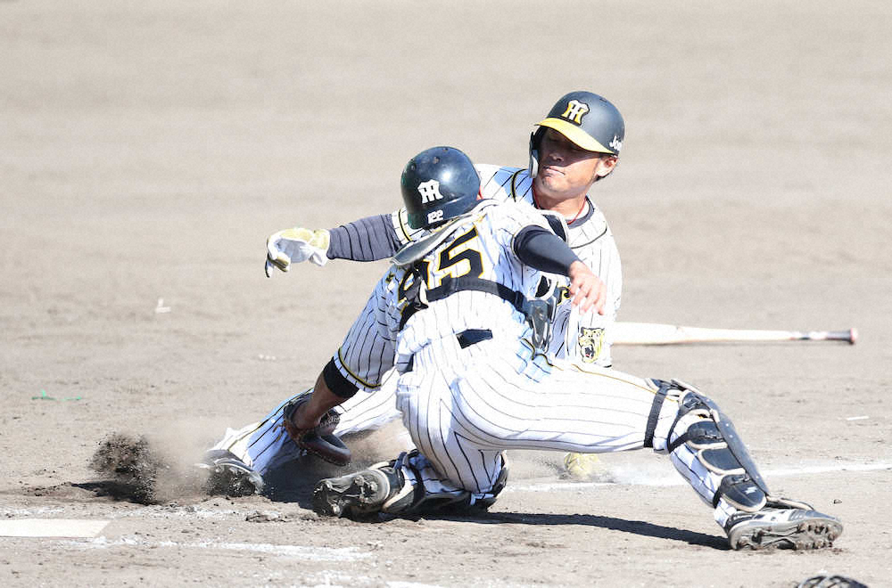 阪神　近本　ノーバウンド送球で本塁補殺　究極目標は「走られないこと」