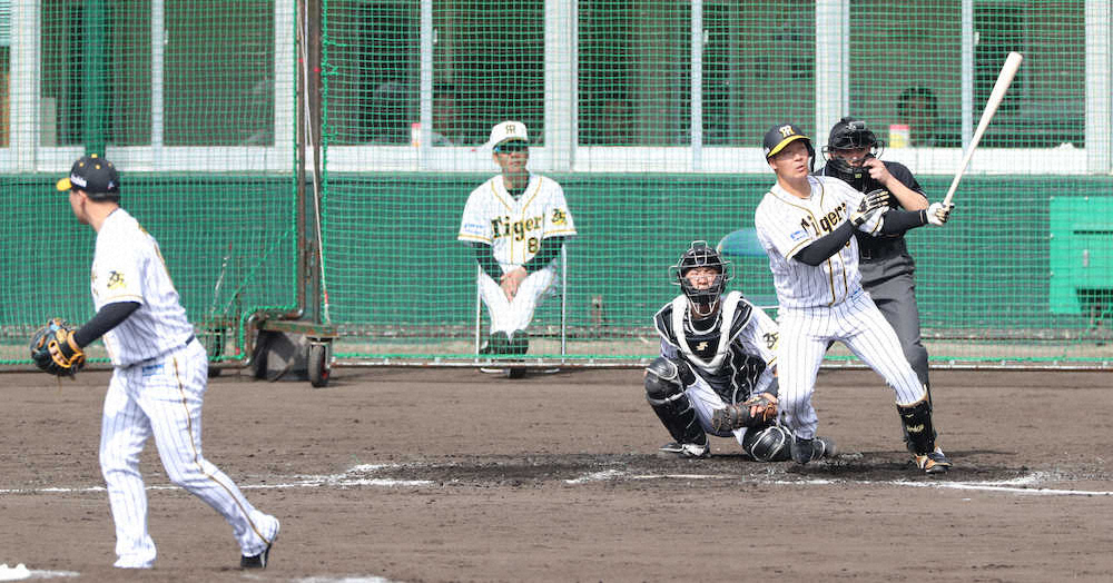 阪神・大山、シート打撃で“今季1号”　マルテとの三塁争いの中で