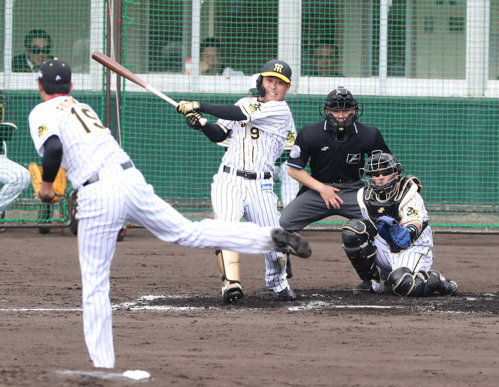 【画像・写真】阪神・高山　覚悟の2安打!し烈外野争い「結果を出し続けないと」