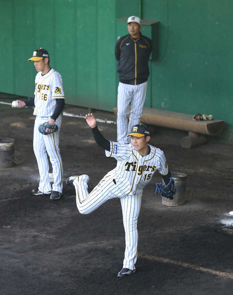 阪神・西純＆及川、プロ入り後初のブルペン入り　山本昌臨時投手コーチ「ナイスボール」