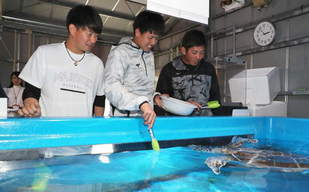 【画像・写真】ヤクルト新人3選手が沖縄の休日満喫「貴重な体験できた」