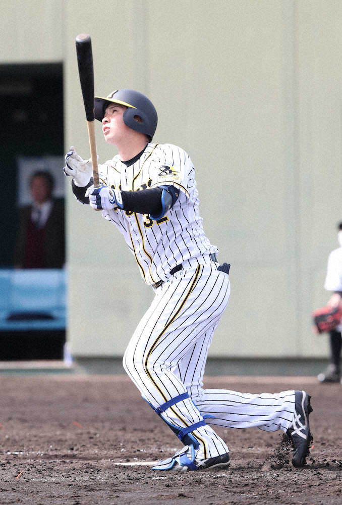 阪神ドラ2・井上　関西国際大戦の4回に左越え本塁打
