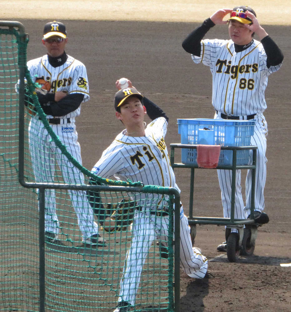阪神ドラ3・及川　プロ入り後初の打者への投球　フリー打撃登板で「最近の中では一番」