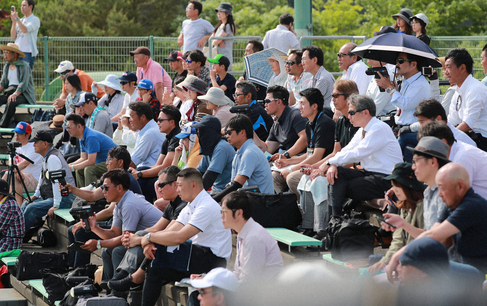 【画像・写真】12球団スカウト困った！コロナ余波でセンバツも地方大会も中止　高校生見る時間が…