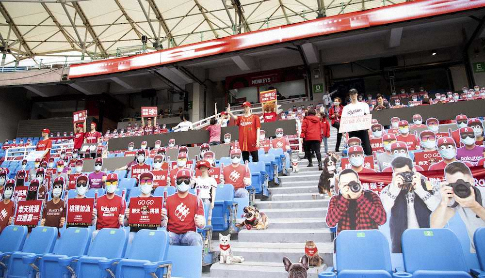 観客に見立てたマネキンや看板が置かれた台湾プロ野球楽天の本拠地球場のスタンド