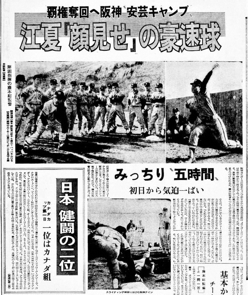 ドラフト指名後の江夏も参加した阪神秋季キャンプを伝えるスポニチ本紙1966年11月11日付1面