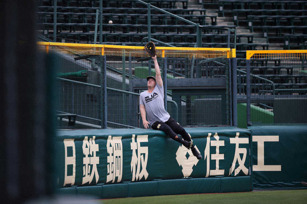 阪神・サンズ　“古巣”韓国プロ野球見て刺激「頑張っている姿うれしかった」