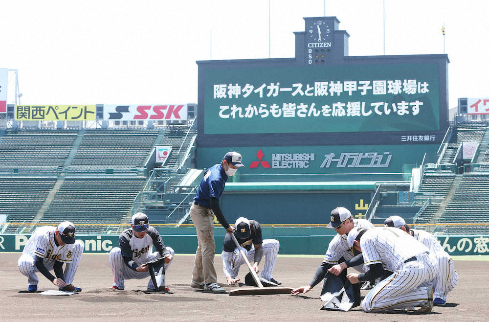 【画像・写真】阪神　選手ら「甲子園の土」集め　サイレン響く中　高校球児への贈呈キーホルダーに使用