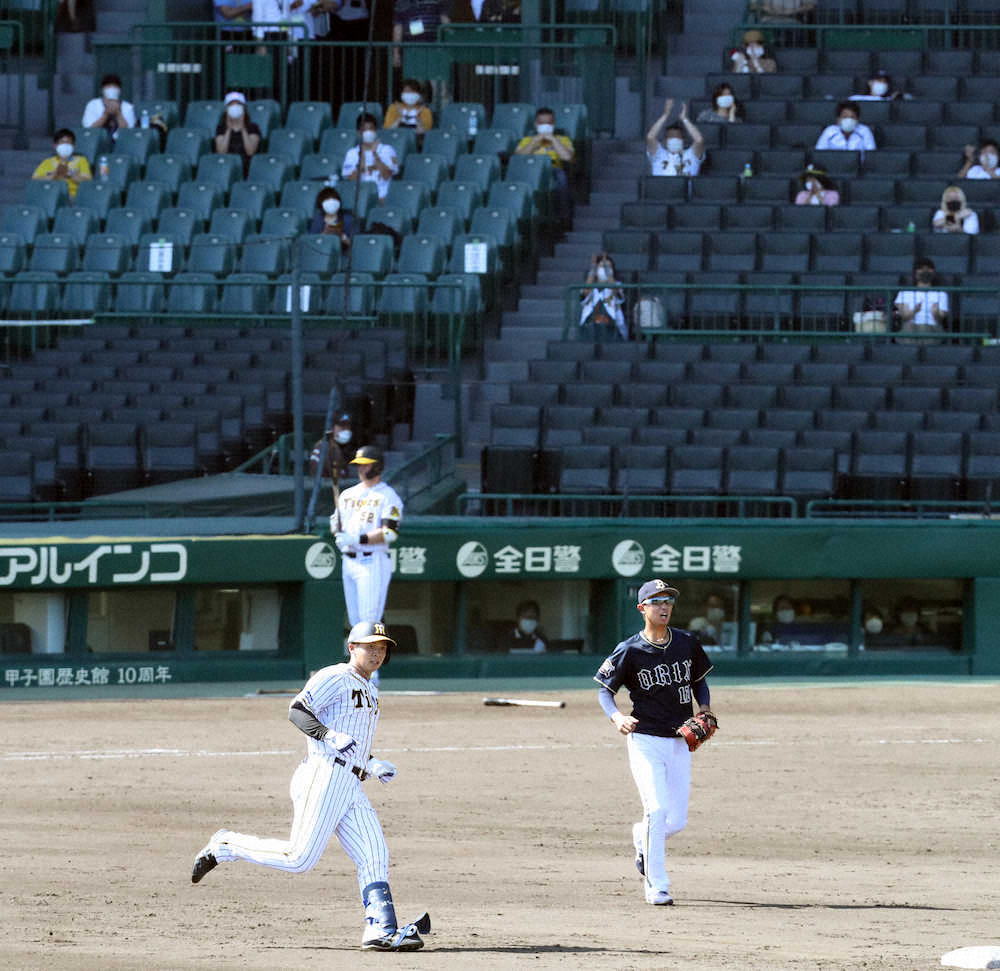 阪神ドラ2井上が公式戦デビュー戦でフェンス直撃二塁打　あと少しで本塁打の当たりに虎党この日一番の拍手