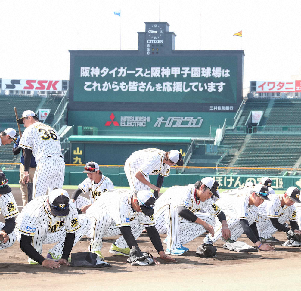 阪神　藤浪、西純ら2軍選手が甲子園の土集め　高校球児に贈呈のキーホルダーに使用