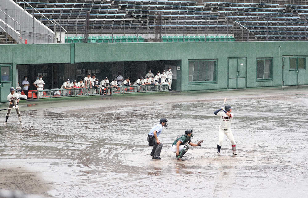 関西六大学野球、雨中の代替試合スタート　9球団スカウトがドラフト候補に熱視線