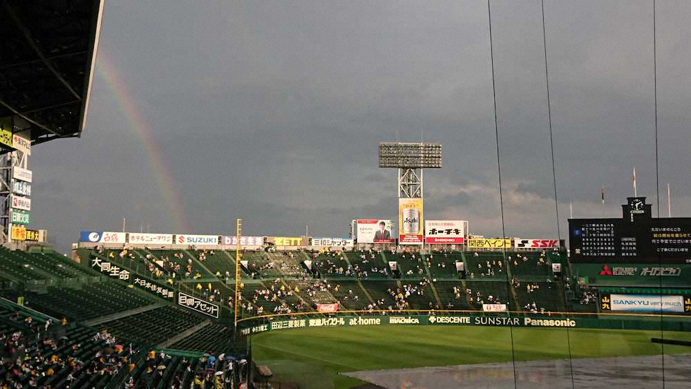 雨上がりの甲子園に虹…阪神―DeNA、にわか雨で試合開始遅れる