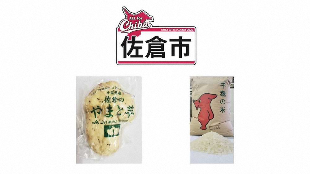 配布ユニホームの右袖に掲出される佐倉市のロゴ、佐倉市の特産品「やまと芋」と、新米「ふさこがね」