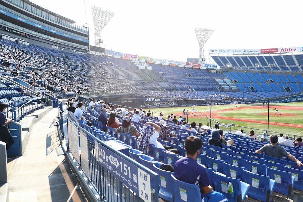 神奈川大学野球　有観客で開催　3試合で1200人「これだけ来ていただけるなんて想定外」