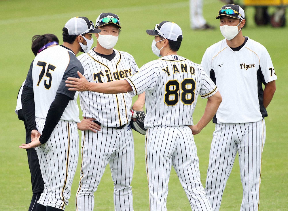 阪神・矢野監督　支配下登録の横山、石井に期待「チームが苦しい状況　チャンスは大いにある」