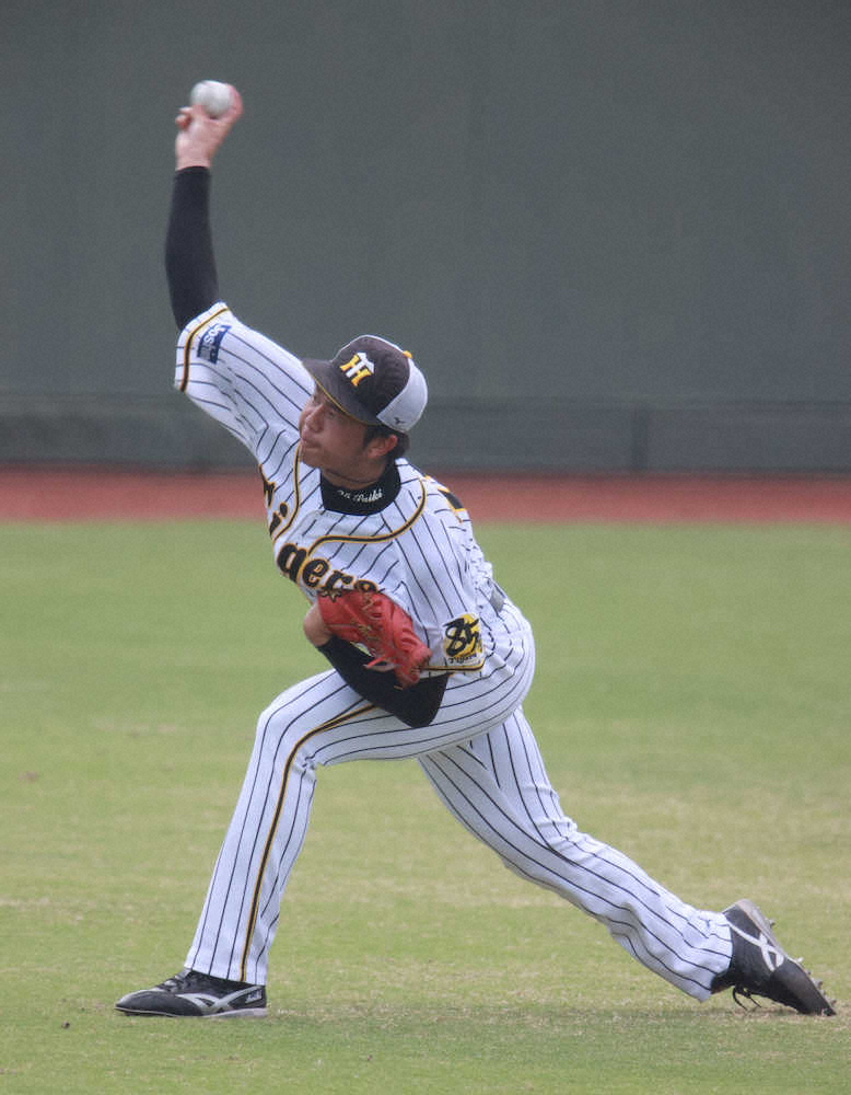 【画像・写真】阪神　島本も才木も今季絶望の可能性　全体練習欠席し検査受けた模様