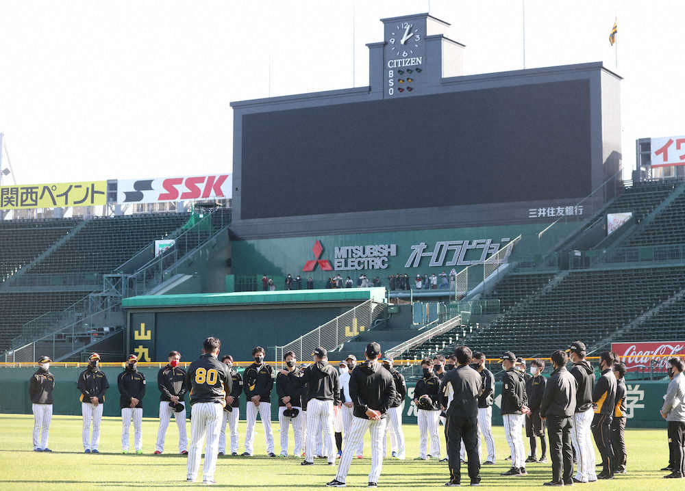 甲子園球場で始まった阪神の秋季練習