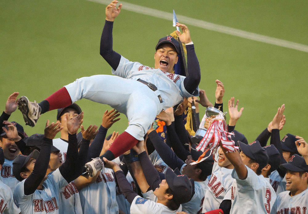 11月、関西地区大学野球選手権で優勝し、ナインに胴上げされる近大・佐藤輝