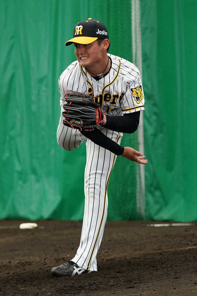 阪神・西純　投手陣最多の153球発進　初1軍キャンプで躍動