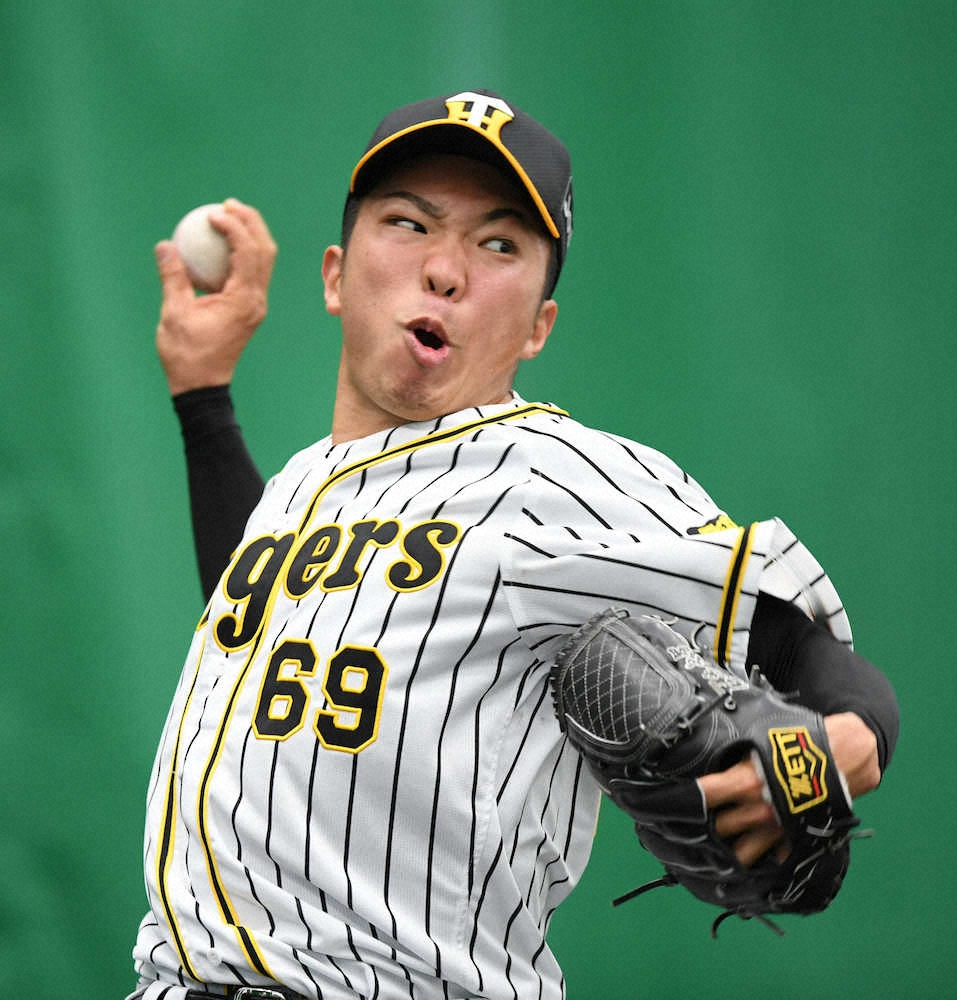 阪神ドラ8石井大が「初タイトル」　矢野監督が初代「カッコいい大賞」を贈呈