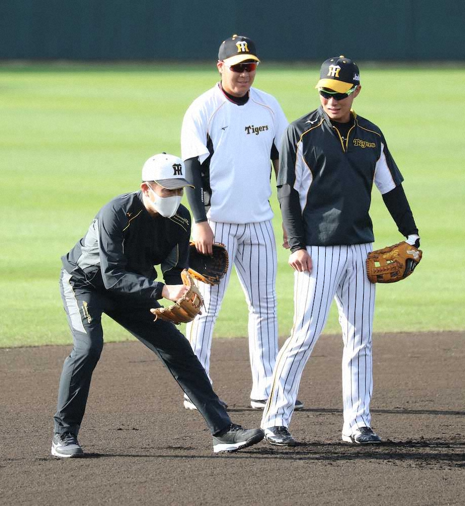 阪神　ワンデーキャプテン　本日3日は木浪、小川