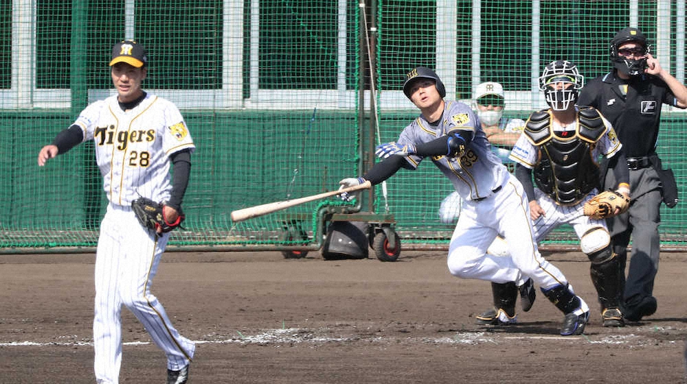 阪神ドラ4栄枝が紅白戦で12球団新人最速の適時打　小野の真っすぐをジャストミート