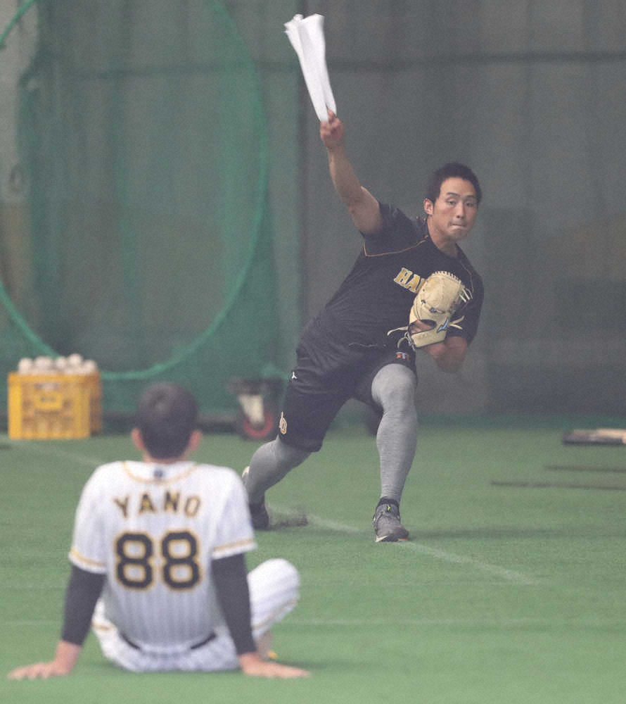 矢野監督、気配りの密着マーク　紅白戦で制球乱したドラ3佐藤蓮に助言、そして鼓舞