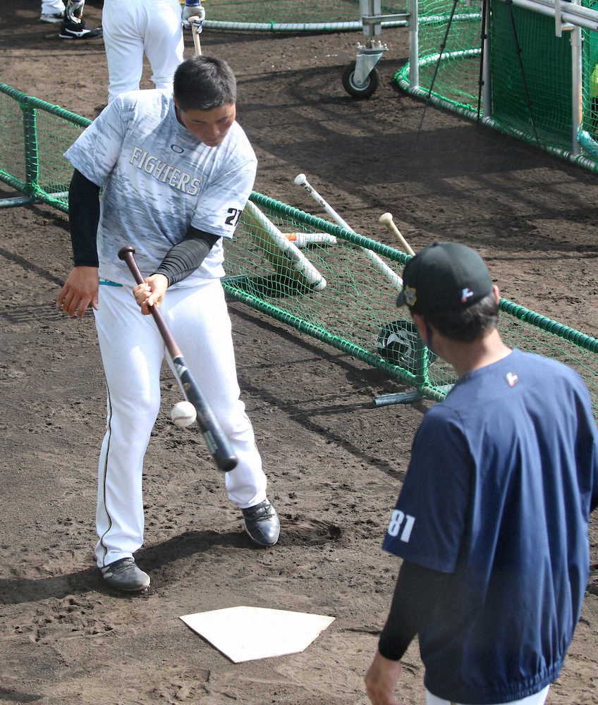 日本ハム・清宮　右前腕の張りで小笠原ヘッドの特別“下半身強化メニュー”