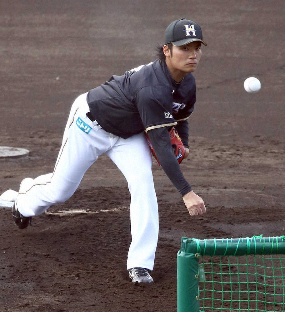 日本ハム　ドラ1・伊藤大海　初のフリー打撃登板　44球中安打性3本