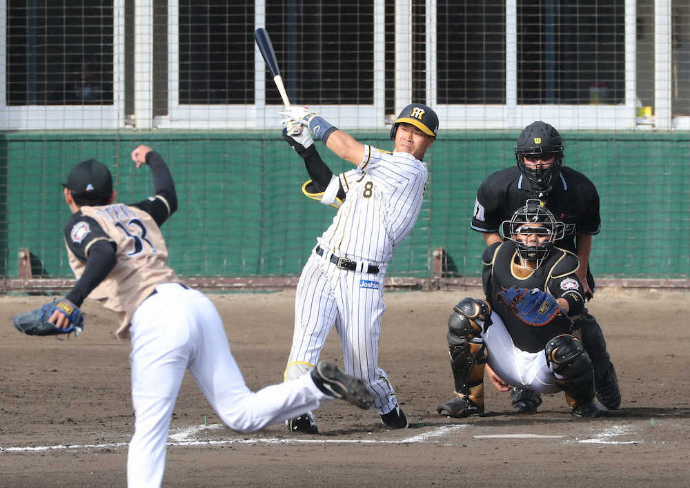 【画像・写真】“すげぇ”阪神ドラ1・佐藤輝　初の対外試合で3安打！　逆転弾&勝ち越し適時打と大暴れ