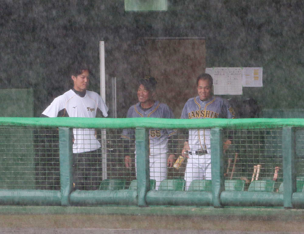 ＜練習試合　広・神＞試合前の豪雨で試合が中止となり、ベンチで苦笑いの青柳（右）（撮影・北條　貴史）