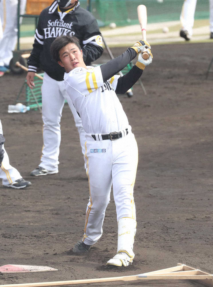 鷹の大砲候補18歳ドラ1井上　目標は「松田さん」、来年までに「1軍レベルの体にしたい」